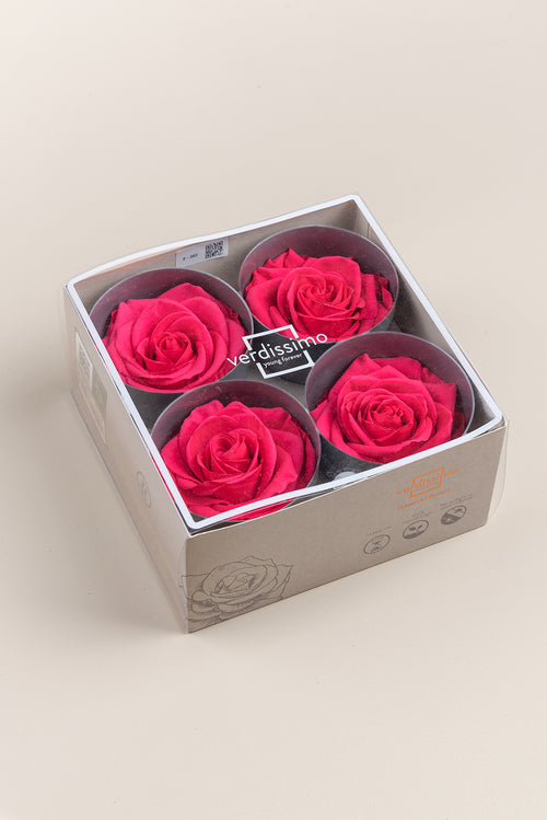 Rose Premium - Boîte 4 têtes