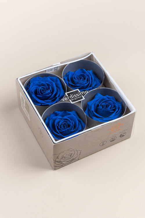 Rose Premium – Box mit 4 Köpfen
