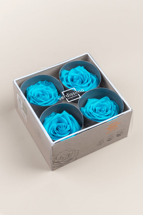 Rose Premium - Box 4 heads