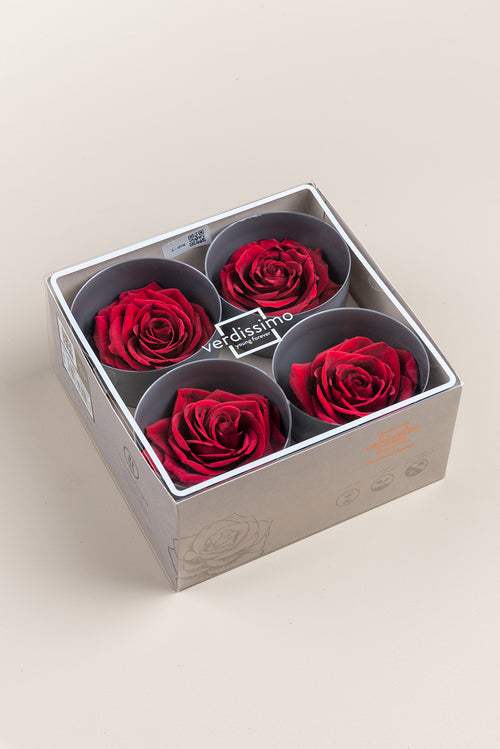 Rose Premium - Box 4 heads