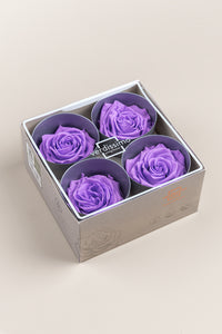 Bright Lilac