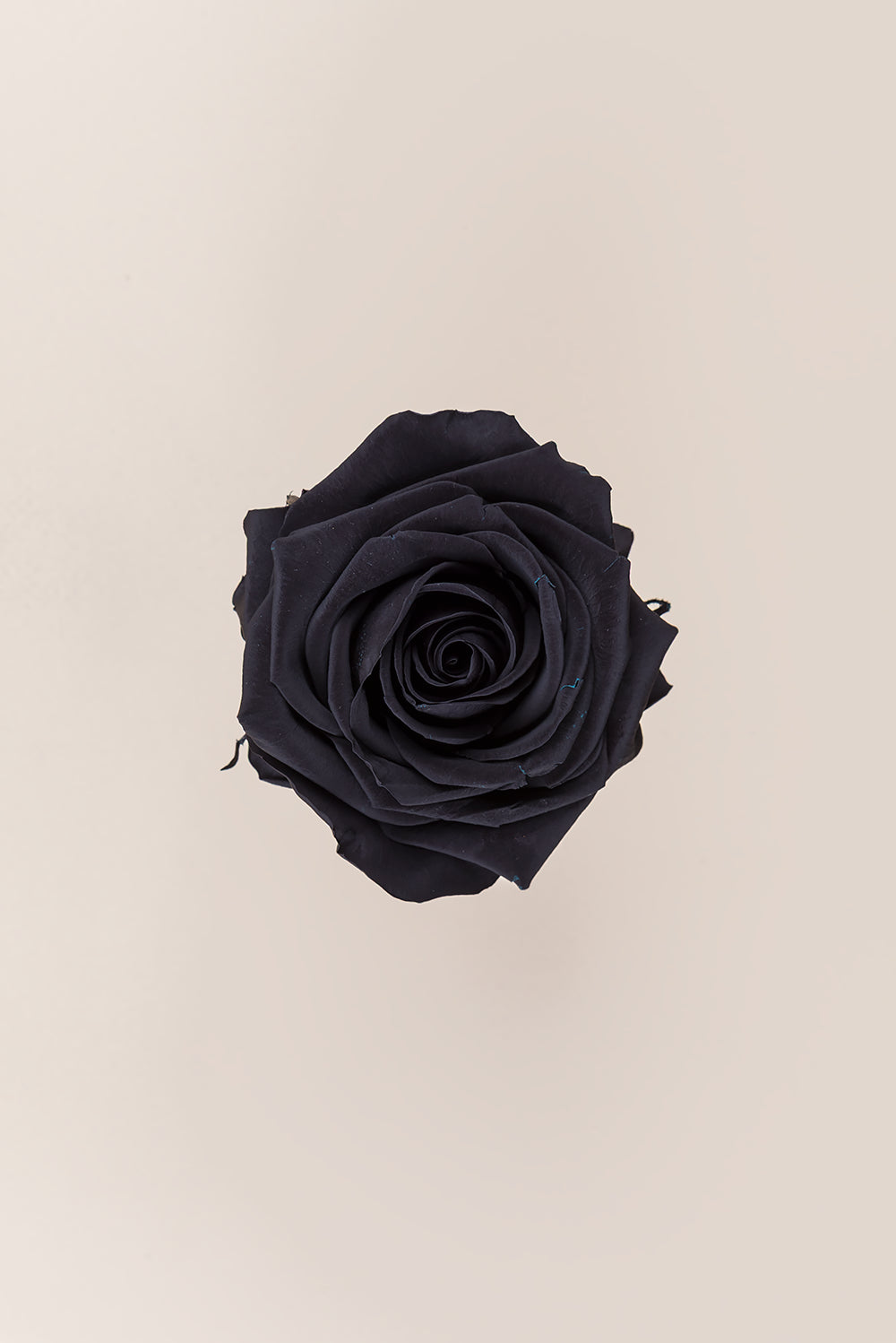 Rose Premium - Box 4 heads