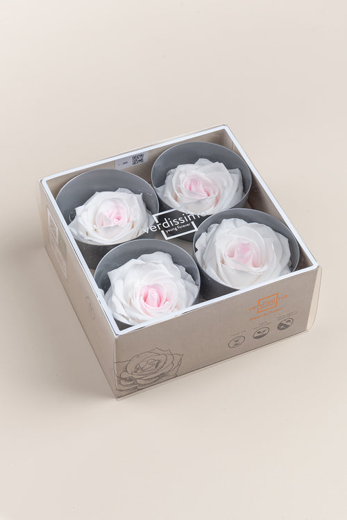 Rose Premium - Box 4 heads