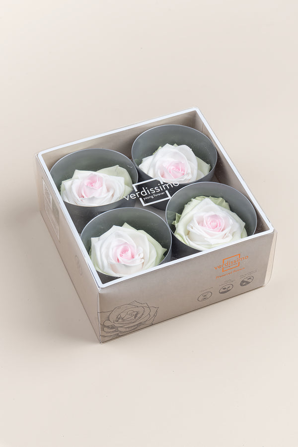 Rose Premium - Box 4 heads