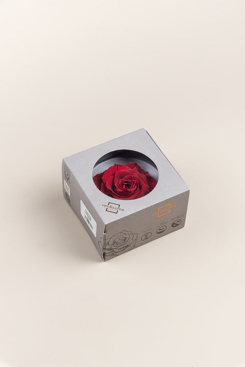 Rose king - Box 1 head