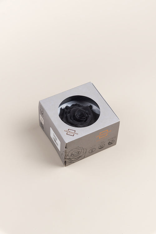 Rose king - Cabecera caja 1