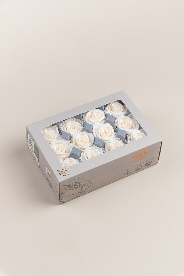 Rose Mini - Box 12 heads