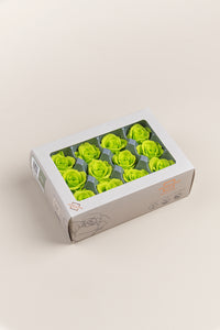 Lime Green