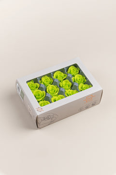 Lime Green