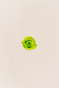 Lime Green