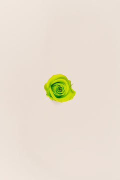 Vert citron