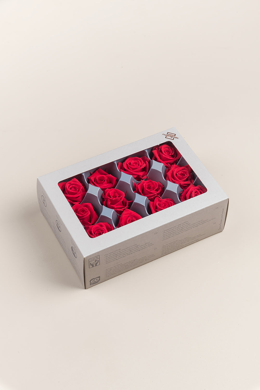 Rose Mini - Box 12 heads