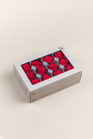 Rose Mini - Box 12 heads