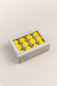 Bright Yellow