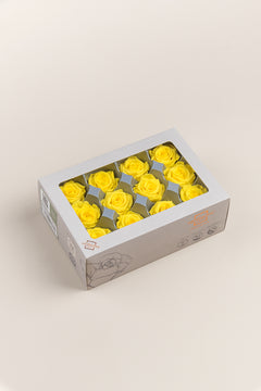 Bright Yellow