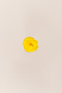 Bright Yellow