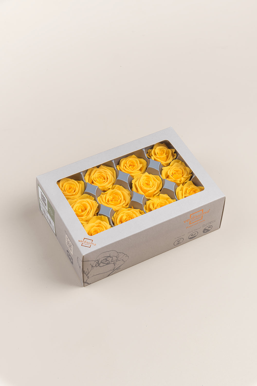 Rose Mini - Box 12 heads