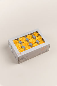 Warm Yellow
