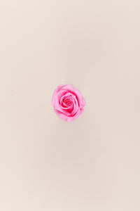 Pastel Pink