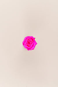 Bright Pink