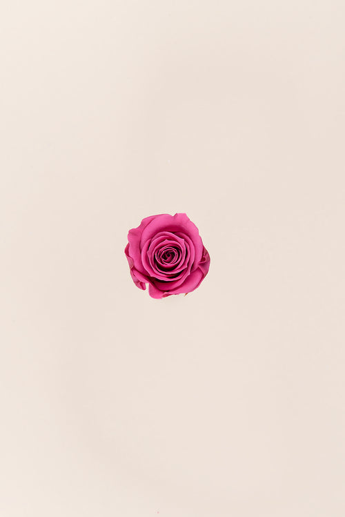 Rose Mini Bulk - Pack 288 u.