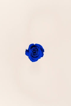 Bleu foncé