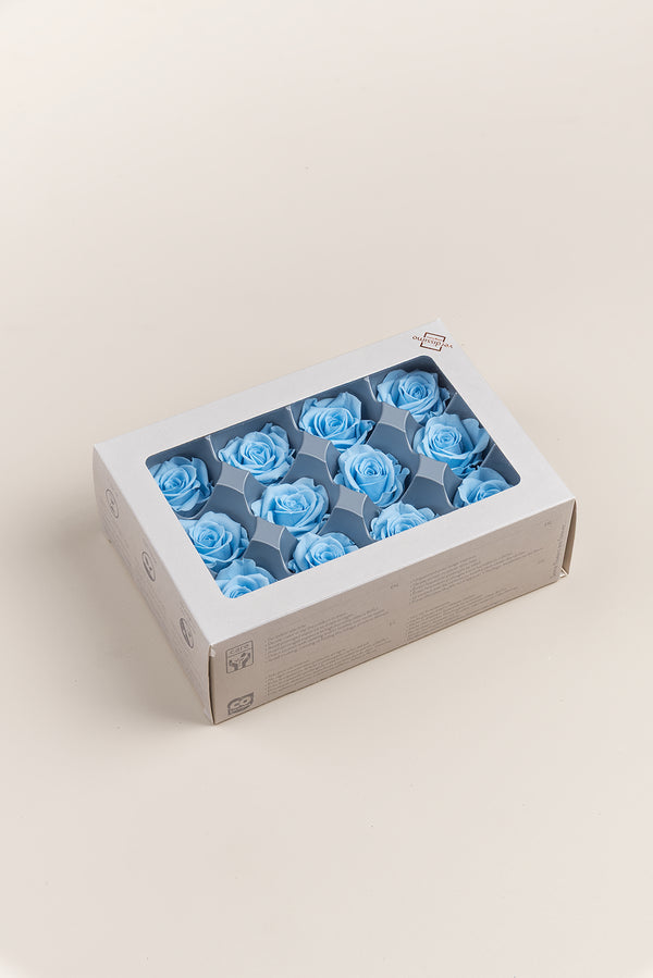 Rose Mini - Box 12 heads