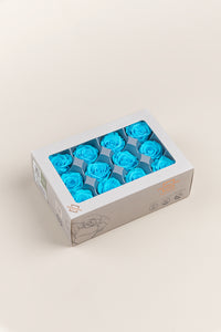 Bright Turquoise