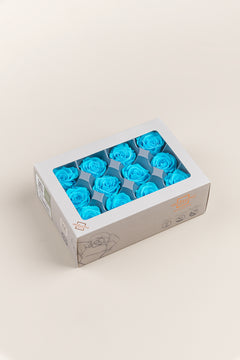 Bright Turquoise