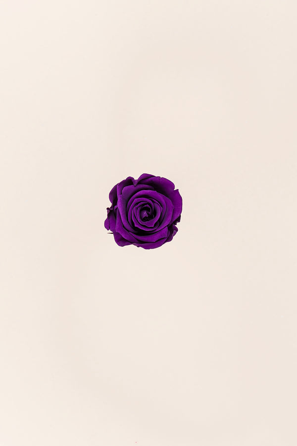 Rose Mini Bulk - Pack 288 u.