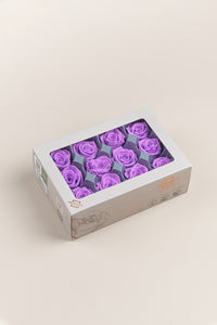 Bright Lilac