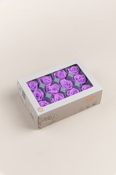 Bright Lilac