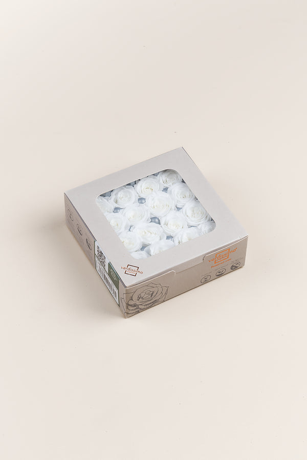 Rosa Princess - Caja 16 cabezas