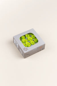Lime Green