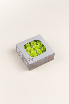 Lime Green