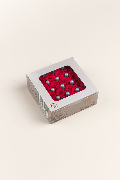 Rosa Princess - Caja 16 cabezas