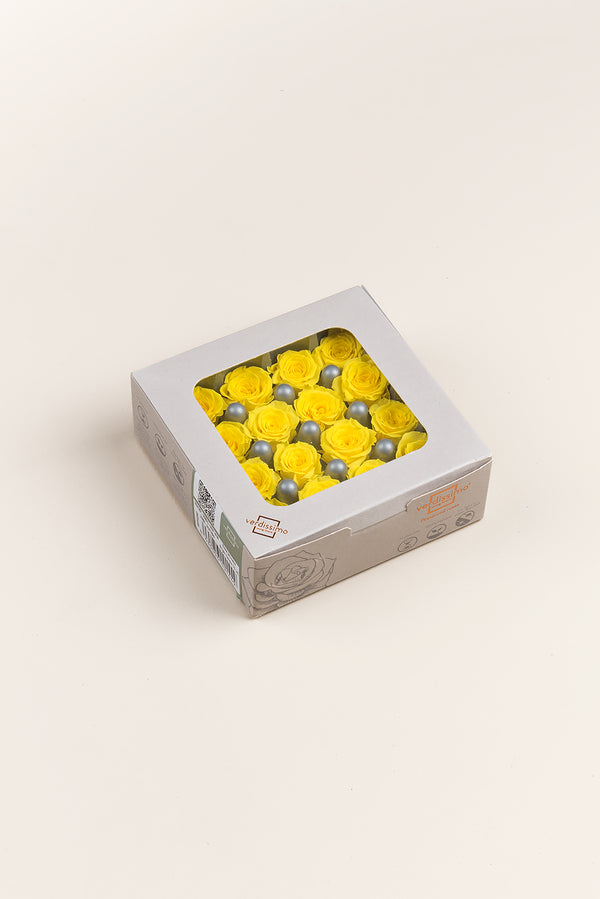 Rosa Princess - Caja 16 cabezas