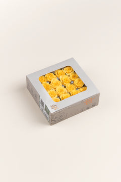 Warm Yellow