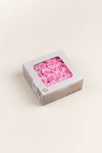 Pastel Pink
