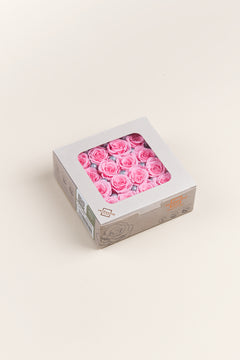 Pastel Pink