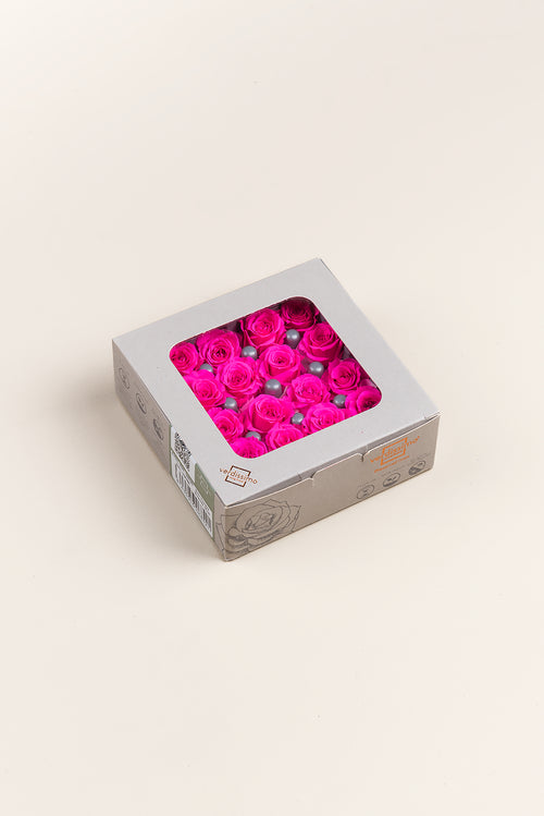 Rose Princess - Box 16 heads