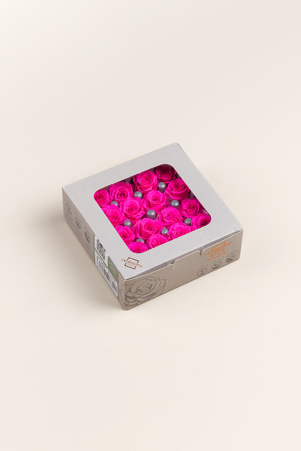 Rosa Princess - Caja 16 cabezas