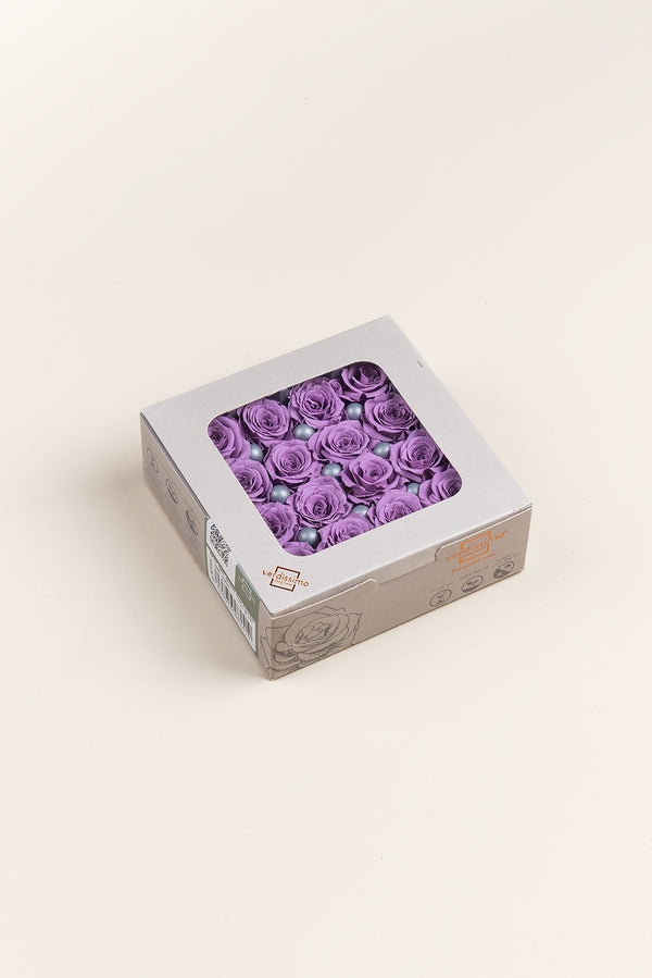Rosa Princess - Caja 16 cabezas