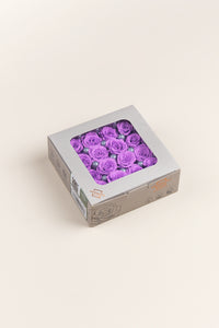 Bright Lilac
