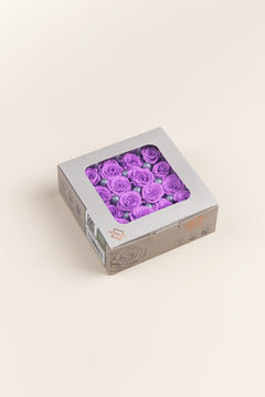 Bright Lilac