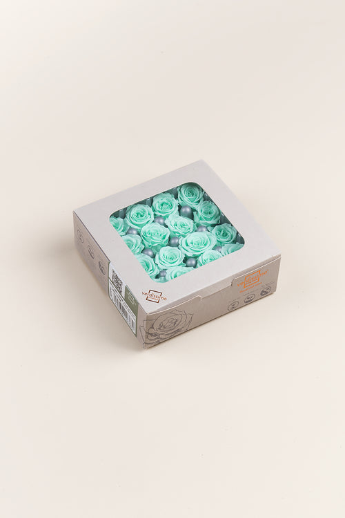 Rose Princess - Box mit 16 Köpfen