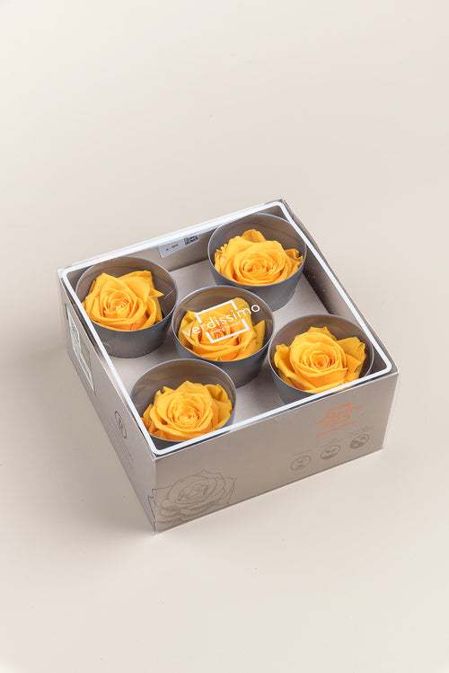 Rose Queen - Box 5 heads