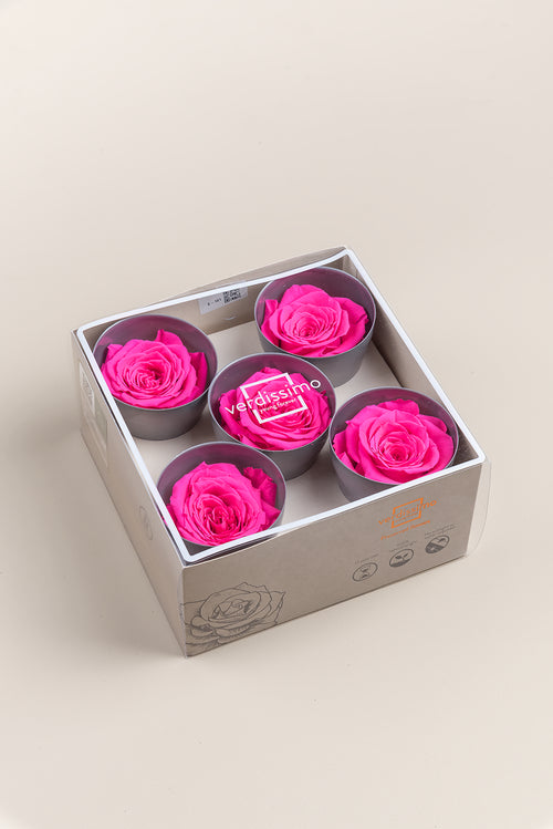 Rose Queen - Box 5 heads