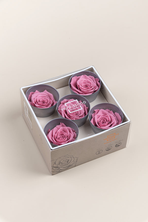 Rose Queen - Case 5 têtes