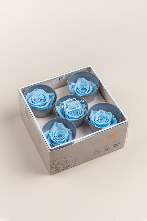 Rose Queen - Box 5 heads
